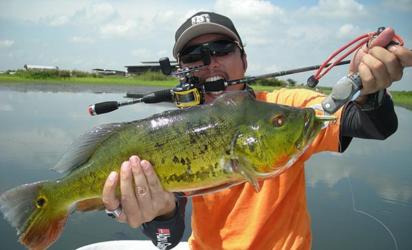 Bass boat fishing